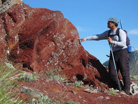 Looks kinda like I'm having a mind meld with the Horta from Star Trek!