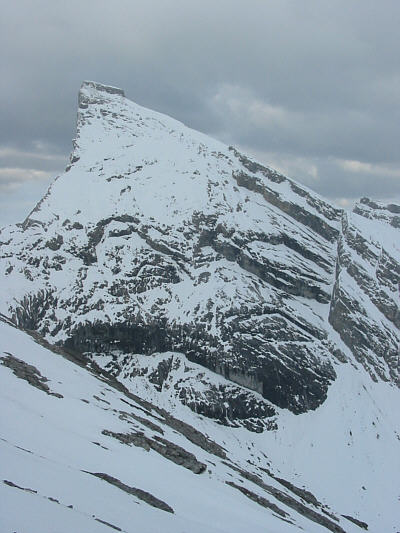 Possible ski ascent?