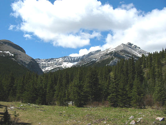 Expect some bushwhacking ahead.