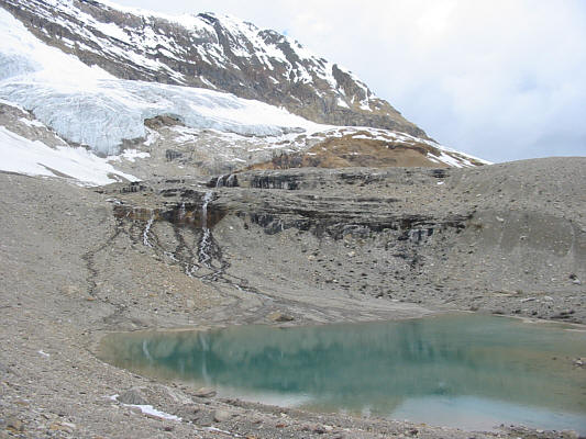 This never gets old!