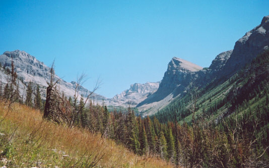 It's a long way in before any real scrambling starts.