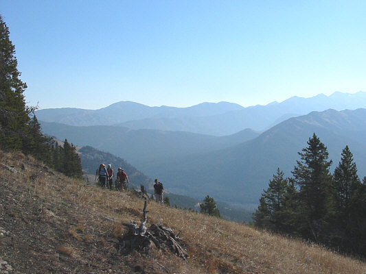 I've always encountered lots of cow patties when hiking in the Front Ranges, but strangely, I've never actually come across any cows...