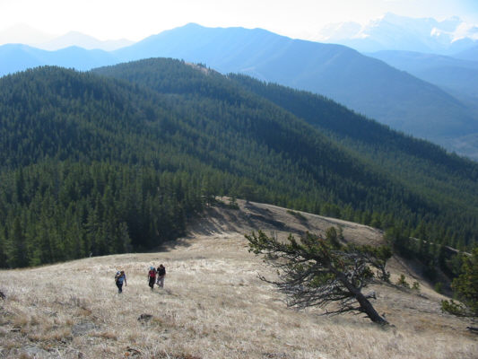 A good place for alpine napping!
