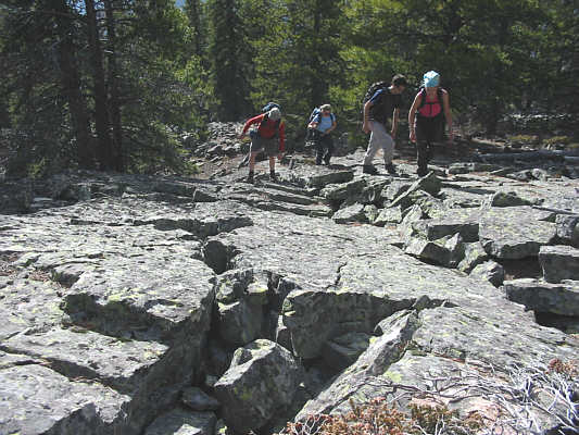 There's a surprising amount of variety on the hike up Junction Hill.