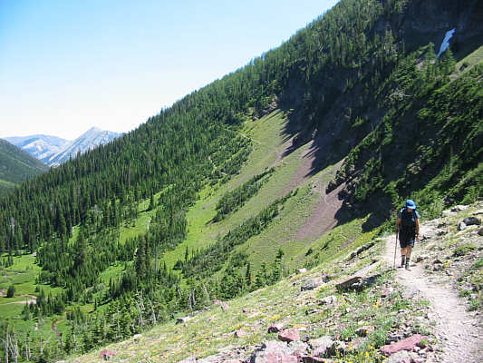 There might be less bugs here in Autumn.