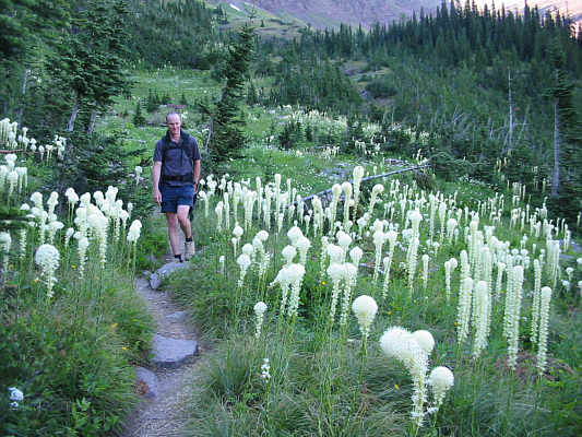 A perennial favourite!