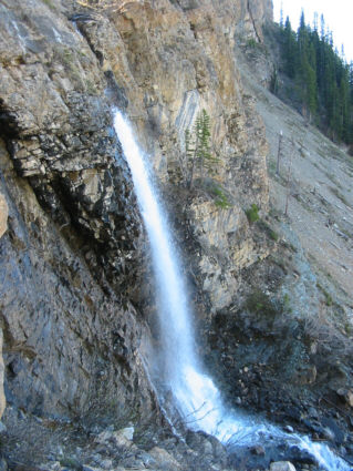 Cool and refreshing.