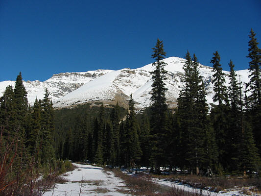 My route goes up somewhere on the far right before angling left up to the false summit.