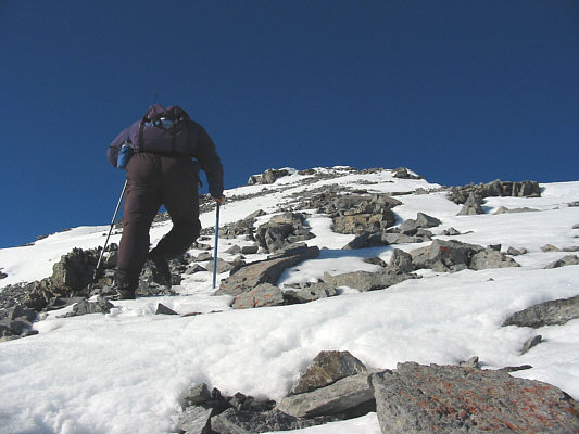 Another classic butt shot!