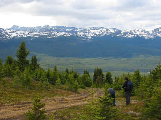 Jasper's celebrated Skyline Trail is somewhere in the distance.