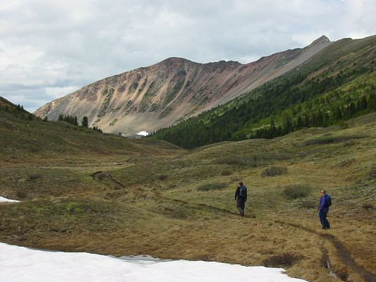 This would be a great ski tour in the winter.