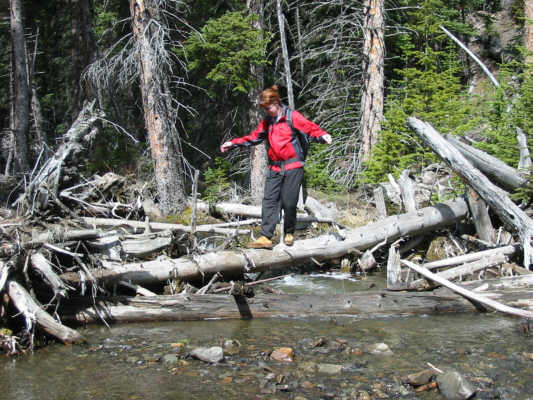 A trekking pole would help a lot here!