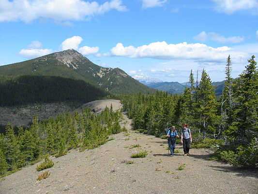 It's interesting how the trees grow mostly on one side of this ridge.