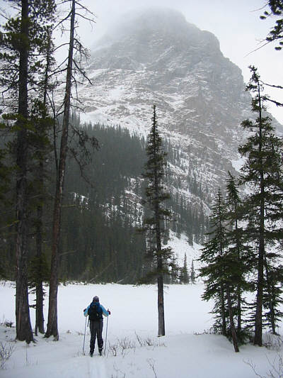 There's just something anticlimactic about lakes in winter.