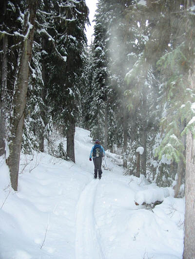 Thank God someone else broke trail here!