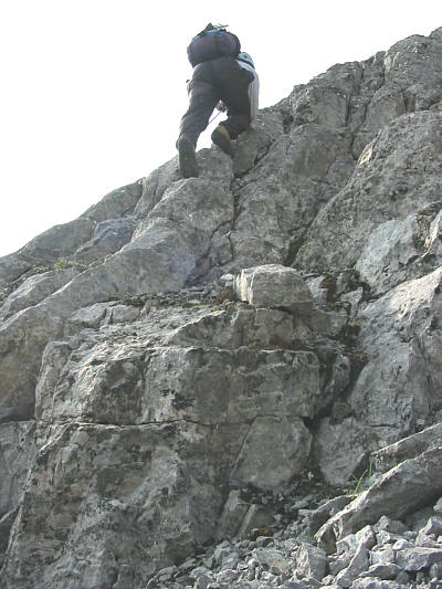 Another classic 'bum' shot!