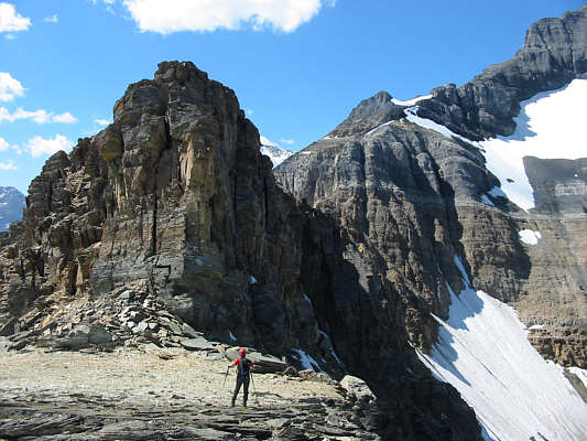 Lots of birds nest up here.