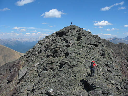 Dinah is barely visible here just a little below and to the right of Bob.