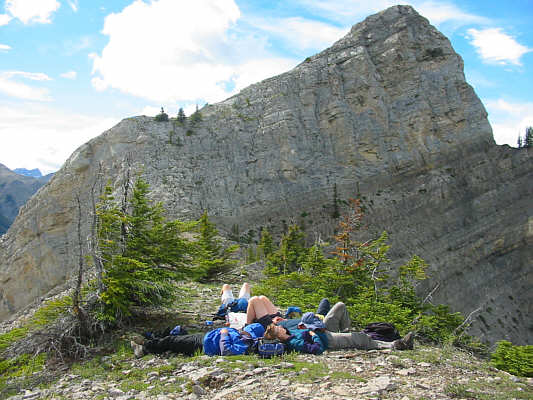 Watch out for ticks here!