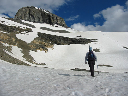 Great glissading conditions here! The footprints I followed belonged to a party that ascended earlier in the day.