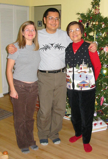 Home for the Holidays