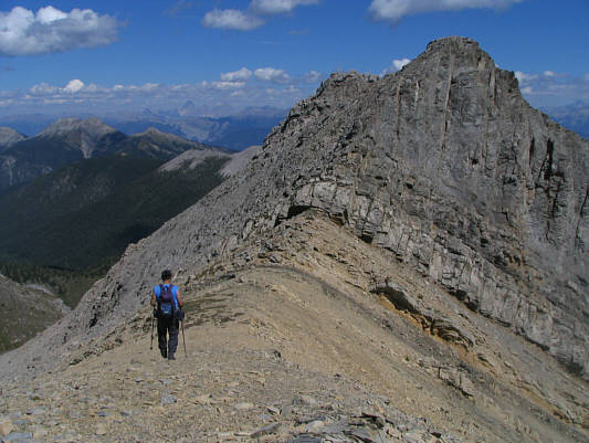 How could I pass up all these easy nubs??