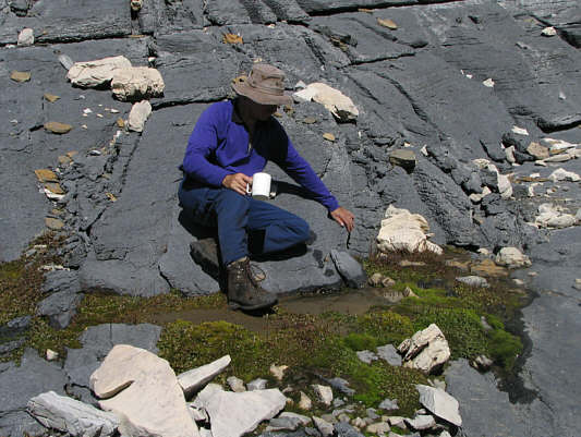 Might be easier to squeeze blood out of the stone...