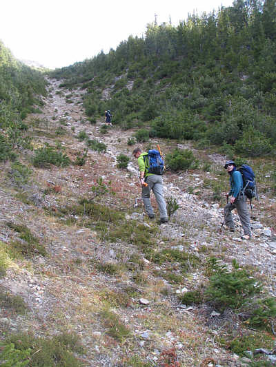 Vern forgot his trekking poles today.