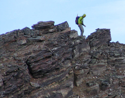 Still going strong despite being sick.