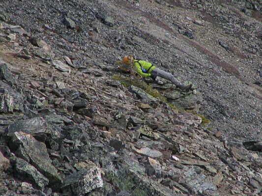 Almost like finding Mallory's body on Everest.