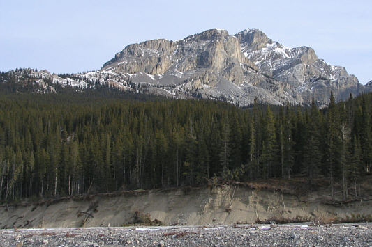 Hope no one needs to use the outhouse anytime soon...