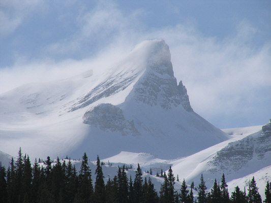 Must be Christmas everyday up there!