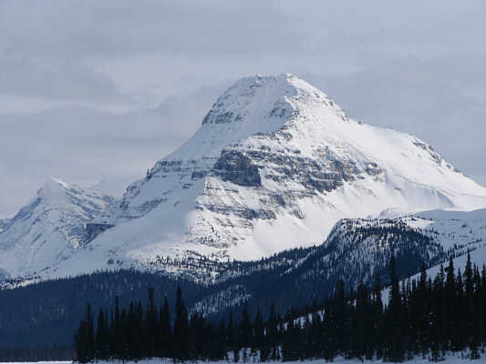 Bow Peak is apparently a popular ski ascent in winter.