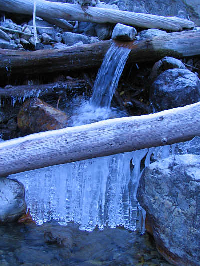 Since views are limited, it's the little things that keep you going up Ranger Creek.