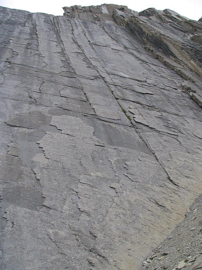 Rather eerie.  I felt like one of those apes from "2001: A Space Odyssey"!