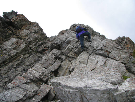 A most welcome diversion!