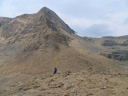 Not to worry.  She had a good book with her! :-)