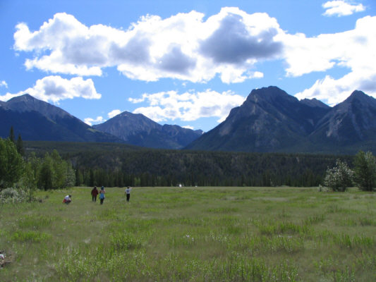 Good place to bring your non-climbing significant others or parents!