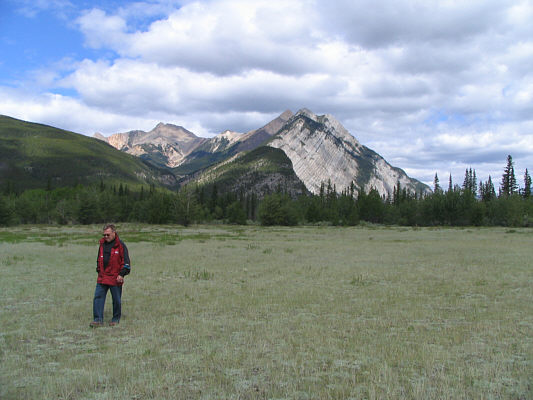 Sorry, Bob.  There's nothing to test-drive out here!