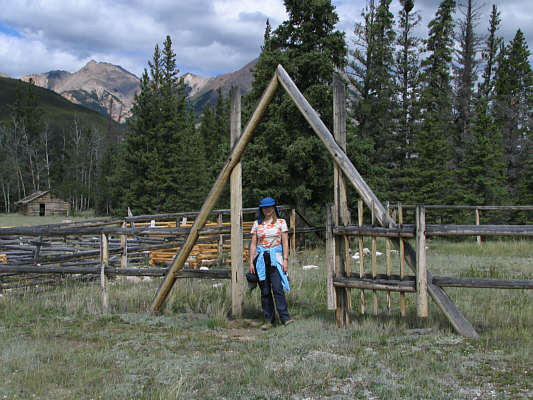 I think this is a cool arch.