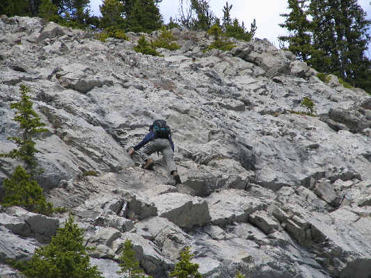 And I thought Mount Livingstone was gonna be nothing but a long scree slog!