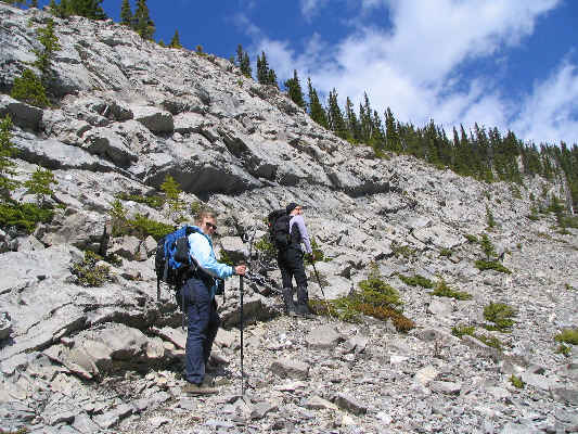 Maybe further up where there are more trees to grab onto...or to break your fall!