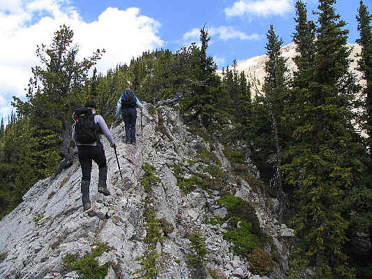 Watch out for ticks!