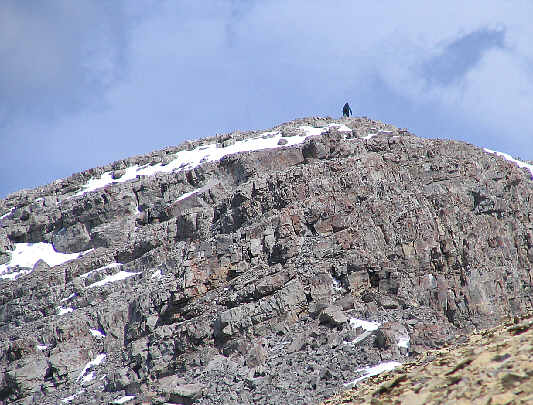 There goes Dan, the quantum-leaping man!