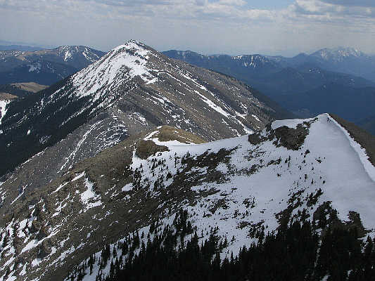 That's "Coffin", not "Coughin'"!!