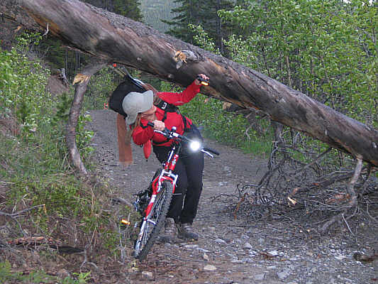 Don't ever buy a bike from Wal-Mart!