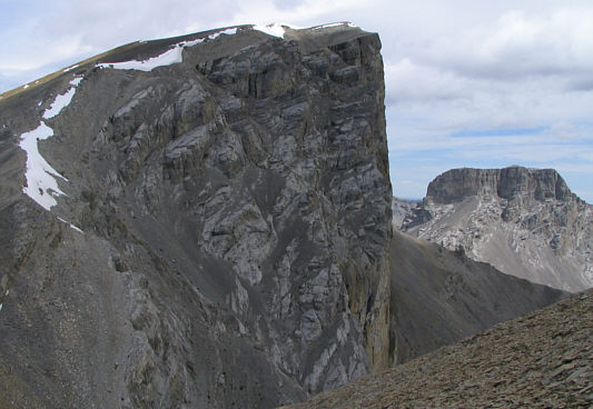 I wonder if anyone has ever bagged both Romulus and Remus in one go...