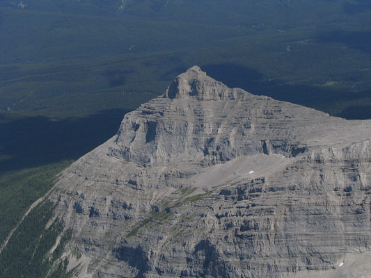 Looks like a good scramble...