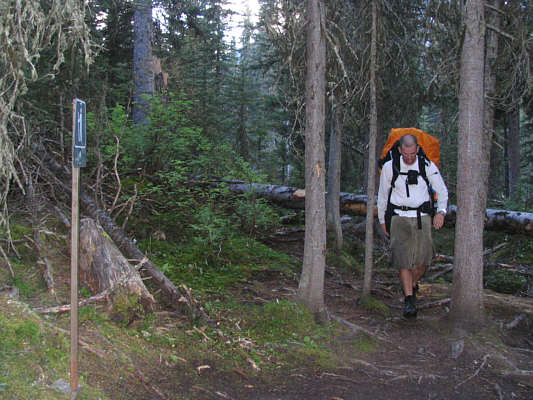 My feet hurt...real bad...