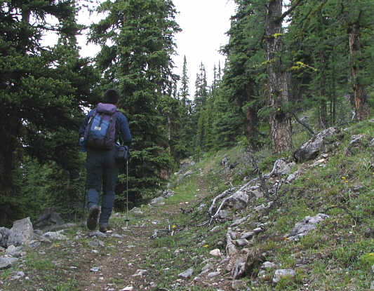 It might be longer, but it sure beats bushwhacking.